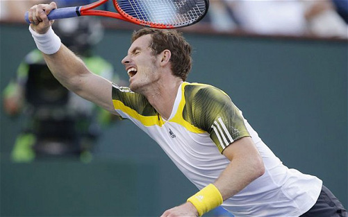 Andy Murray bất ngờ bị loại ảnh 1